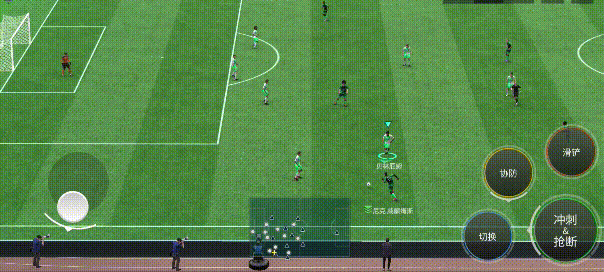 这张贝林厄, REYfH